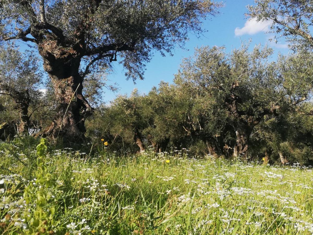 לגאנאס Villa Daizy Boutique Apartments מראה חיצוני תמונה